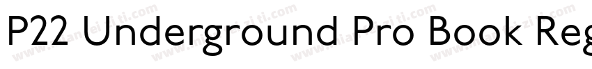 P22 Underground Pro Book Regular字体转换
